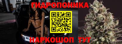 прущие грибы Вязьма