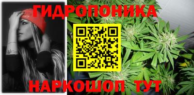 сатива Вышний Волочёк