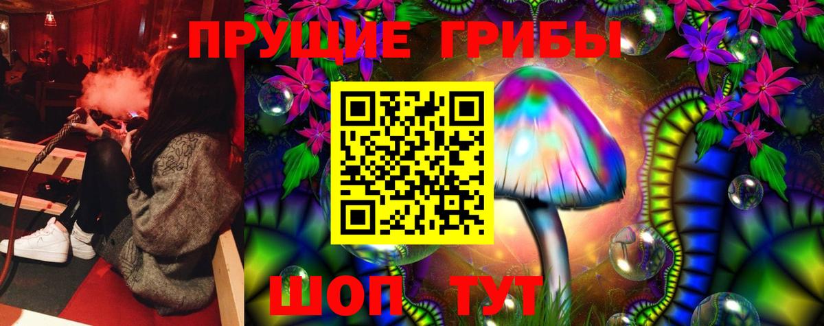 Псилоцибиновые грибы GOLDEN TEACHER Похвистнево